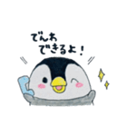 のほほんぺんぎん（個別スタンプ：13）