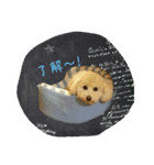 ルイ君の日常会話（個別スタンプ：5）