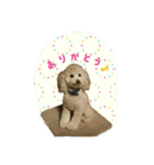 ルイ君の日常会話（個別スタンプ：11）
