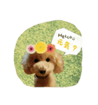 ルイ君の日常会話（個別スタンプ：13）