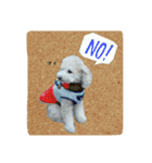 ルイ君の日常会話（個別スタンプ：20）
