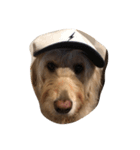 dogsfreak2（個別スタンプ：2）