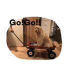 dogsfreak2（個別スタンプ：8）