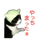 ICHIZOU（個別スタンプ：10）