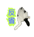 ICHIZOU（個別スタンプ：16）