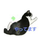 ICHIZOU（個別スタンプ：24）