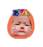 碧空家族用（個別スタンプ：8）