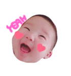 にかりん（個別スタンプ：1）