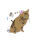 Cat Saint（個別スタンプ：19）