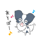 毎日パピヨン（個別スタンプ：2）