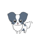 毎日パピヨン（個別スタンプ：3）
