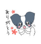 毎日パピヨン（個別スタンプ：4）