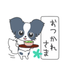 毎日パピヨン（個別スタンプ：5）