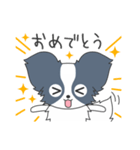 毎日パピヨン（個別スタンプ：6）