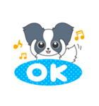 毎日パピヨン（個別スタンプ：9）