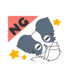 毎日パピヨン（個別スタンプ：10）