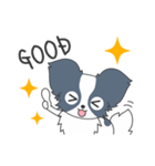 毎日パピヨン（個別スタンプ：11）