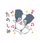 毎日パピヨン（個別スタンプ：14）