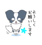 毎日パピヨン（個別スタンプ：16）