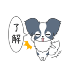 毎日パピヨン（個別スタンプ：17）