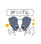 毎日パピヨン（個別スタンプ：18）