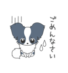 毎日パピヨン（個別スタンプ：19）