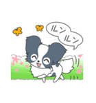毎日パピヨン（個別スタンプ：21）