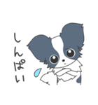 毎日パピヨン（個別スタンプ：24）