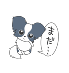 毎日パピヨン（個別スタンプ：26）