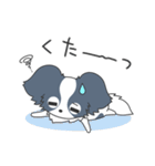 毎日パピヨン（個別スタンプ：28）
