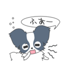 毎日パピヨン（個別スタンプ：31）