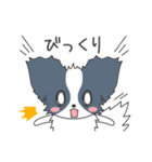 毎日パピヨン（個別スタンプ：32）