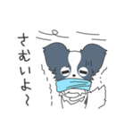 毎日パピヨン（個別スタンプ：33）