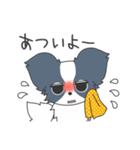毎日パピヨン（個別スタンプ：34）