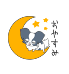 毎日パピヨン（個別スタンプ：36）