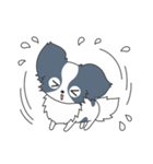 毎日パピヨン（個別スタンプ：38）