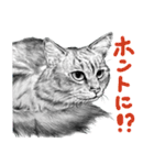チャチャとゆかいな仲間たち 2（個別スタンプ：17）