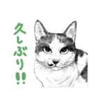 チャチャとゆかいな仲間たち 2（個別スタンプ：19）