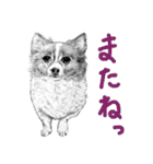 チャチャとゆかいな仲間たち 2（個別スタンプ：23）