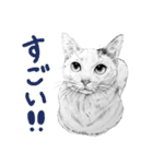 チャチャとゆかいな仲間たち 2（個別スタンプ：26）