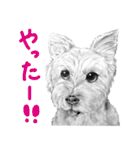 チャチャとゆかいな仲間たち 2（個別スタンプ：30）