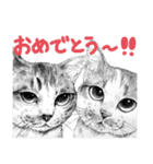 チャチャとゆかいな仲間たち 2（個別スタンプ：31）