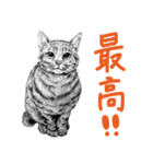 チャチャとゆかいな仲間たち 2（個別スタンプ：35）