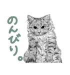 チャチャとゆかいな仲間たち 2（個別スタンプ：39）