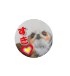 フクロウ＠スタンプ（個別スタンプ：1）