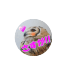 フクロウ＠スタンプ（個別スタンプ：34）