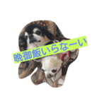 krhi2（個別スタンプ：1）