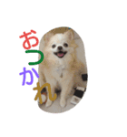 krhi2（個別スタンプ：5）