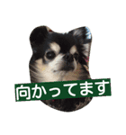 krhi2（個別スタンプ：6）