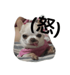 krhi2（個別スタンプ：7）
